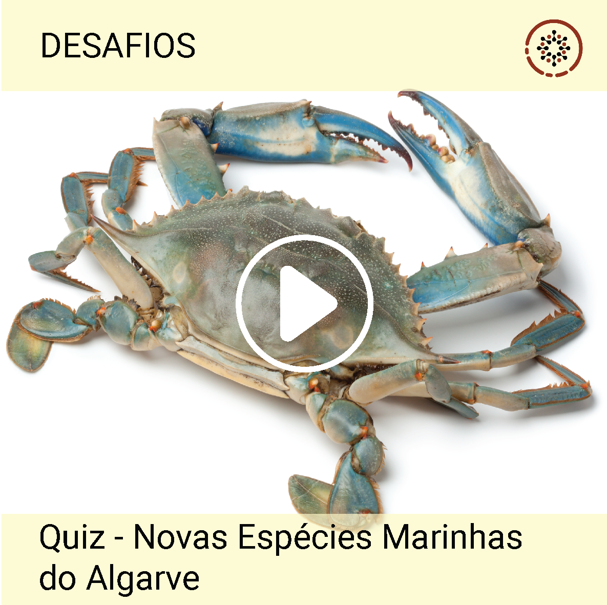 Quiz – Novas Espécies Marinhas do Algarve