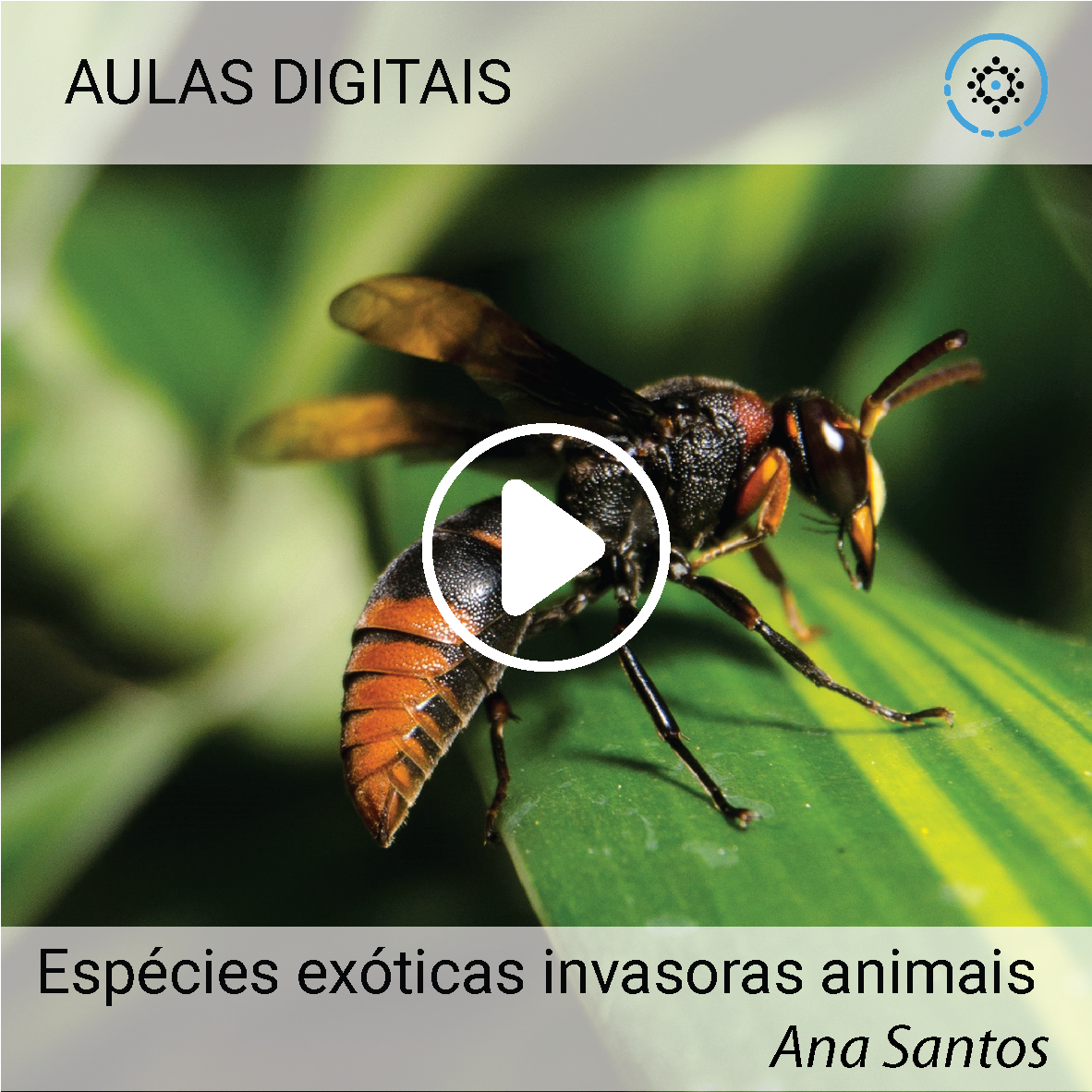 Espécies Exóticas Invasoras Animais | Ana Santos