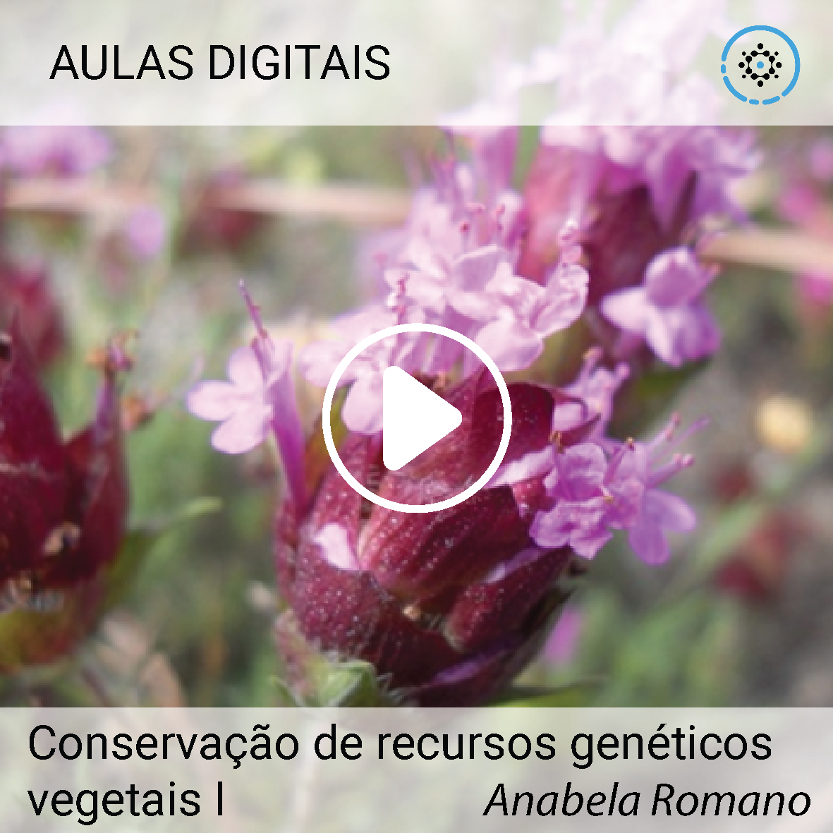 Conservação de recursos genéticos vegetais I | Anabela Romano