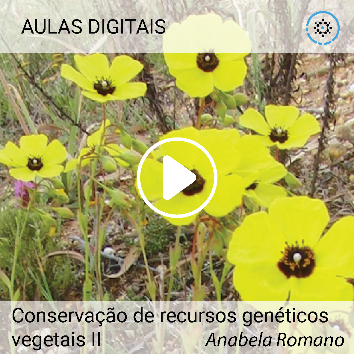 Conservação de recursos genéticos vegetais II | Anabela Romano